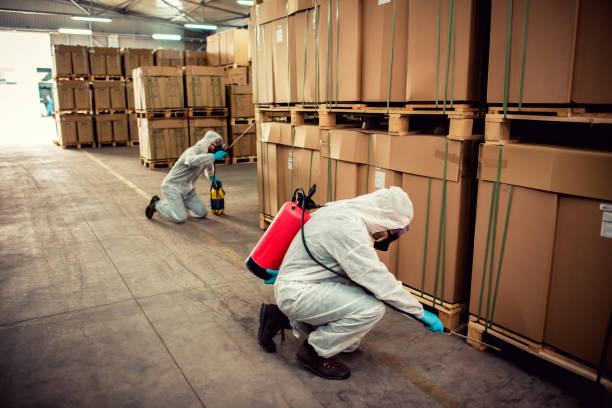 Best Pest Removal Services  in Park Ridge, NJ