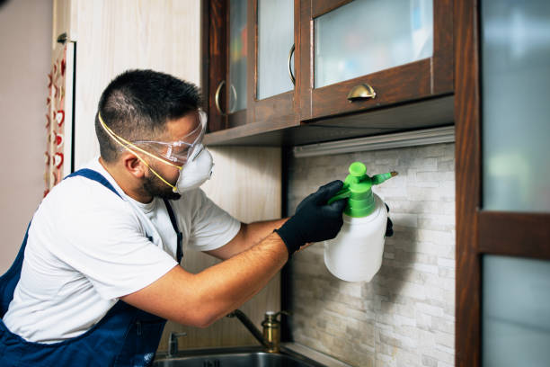 Best Exterminator Services  in Park Ridge, NJ