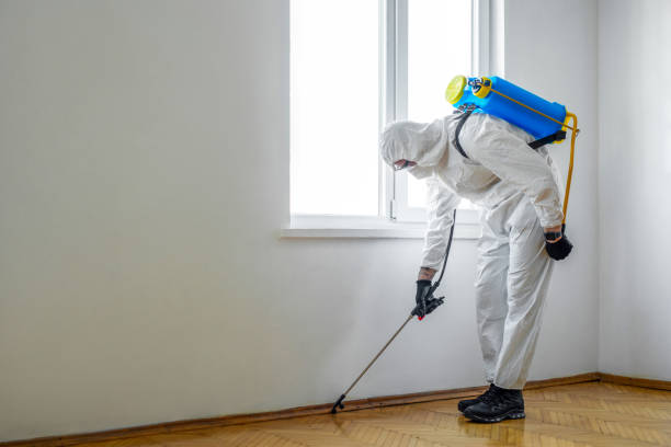 Best Flea Control Services  in Park Ridge, NJ