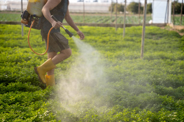 Best Ant Control Services  in Park Ridge, NJ