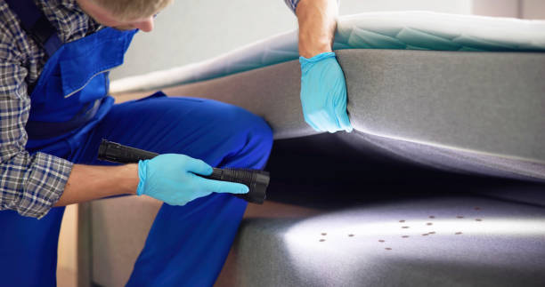Best Pest Removal Services  in Park Ridge, NJ