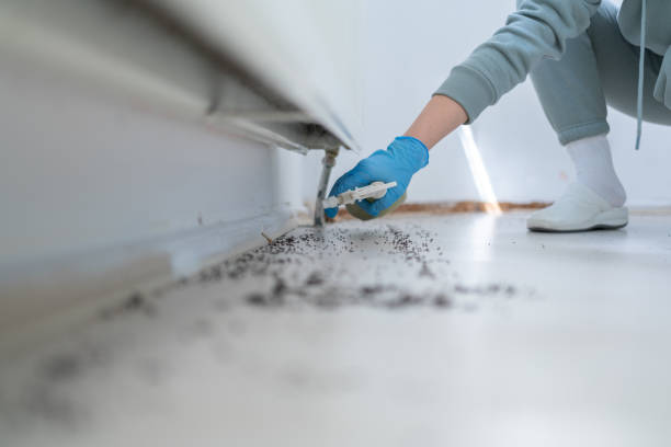 Trusted Park Ridge, NJ Pest Control Experts