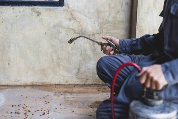 Pest Prevention Services in Park Ridge, NJ
